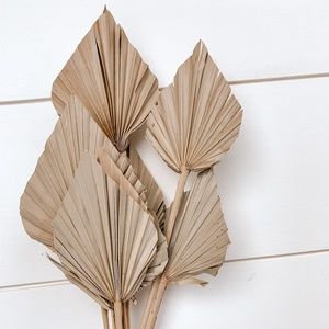 Mini Dried Palm Spears